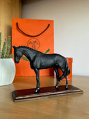 Miniatura de Cavalo - (