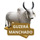 BOI MIJA CACHAÇA ARTESANAL COM TONEL DECORATIVO